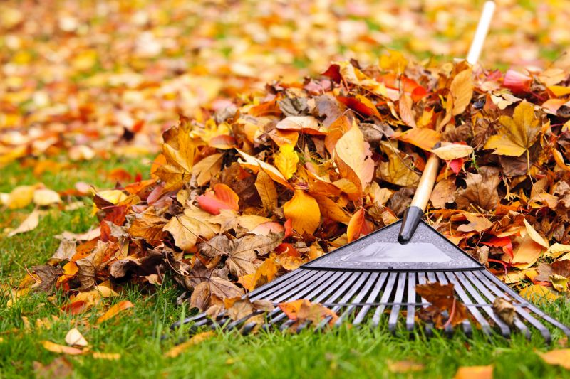 Tools for Fall Lawn Maintenance