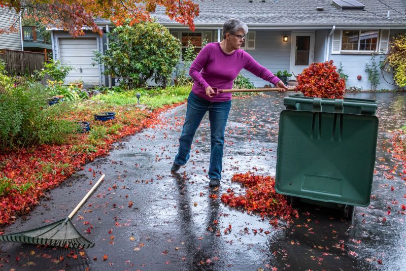 Proper Disposal of Leaves