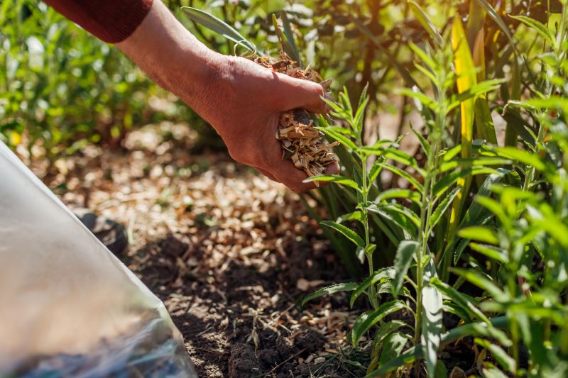 Spring Mulching
