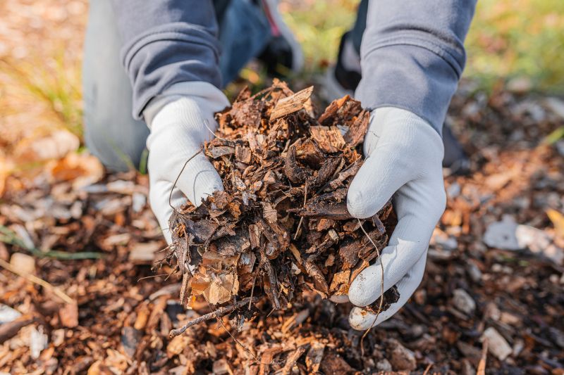 Expert Advice on Mulch Types