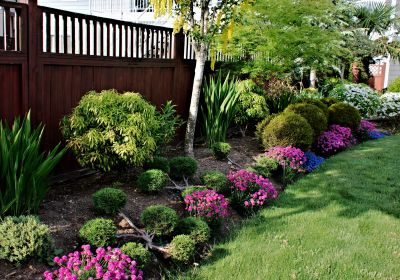 Landscaping Companies