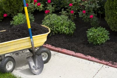 Conserve Moisture in the Soil with Mulching!
