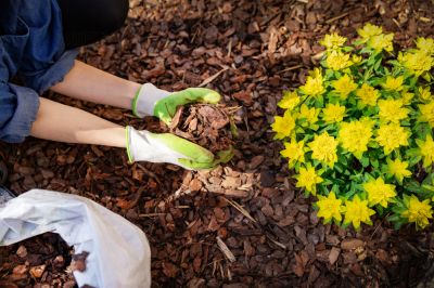 Improve the Appearance of Your Gardens!