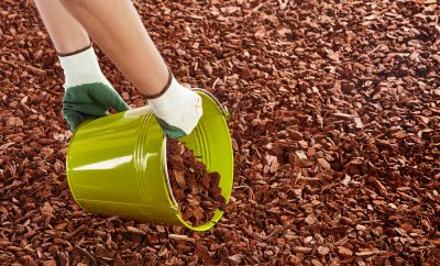Reduce Weeds with Mulching Service!